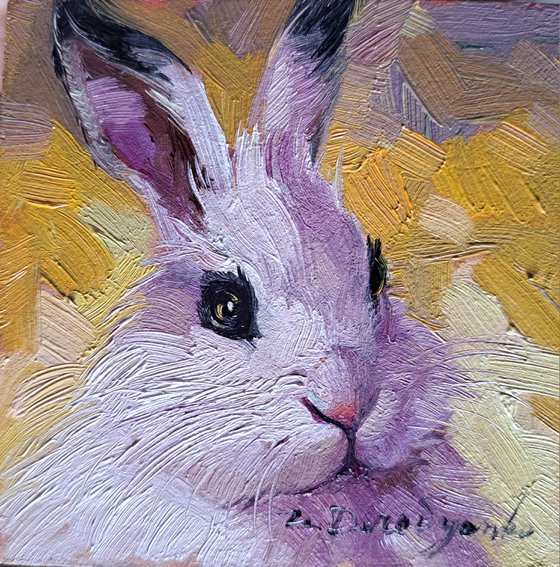 White rabbit portrait