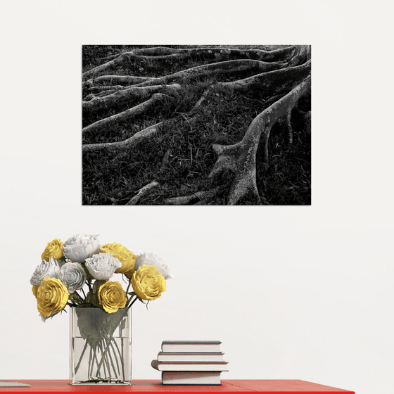 Roots I | Limited Edition Fine Art Print 1 of 10 | 45 x 30 cm