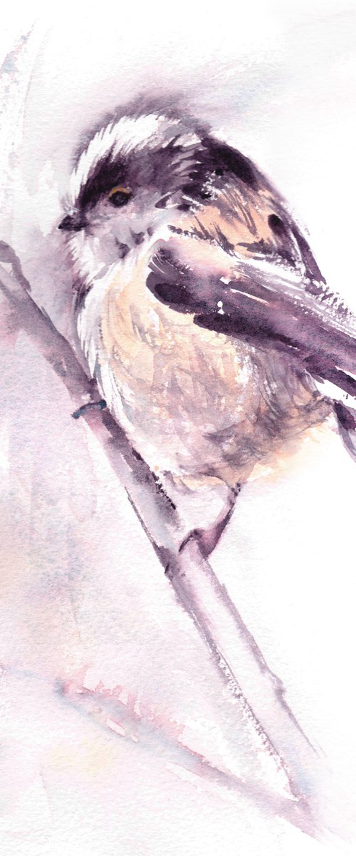Long tailed tit by Anjana Cawdell