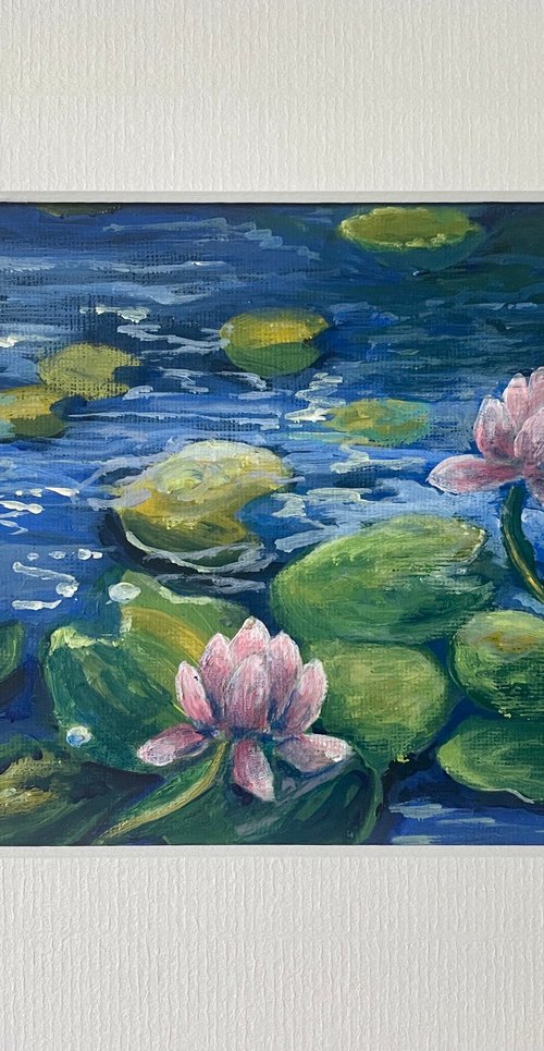 Pink water lilies by Emma Sian Pritchard