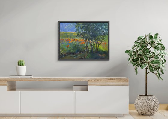 Summer Meadow Reflections