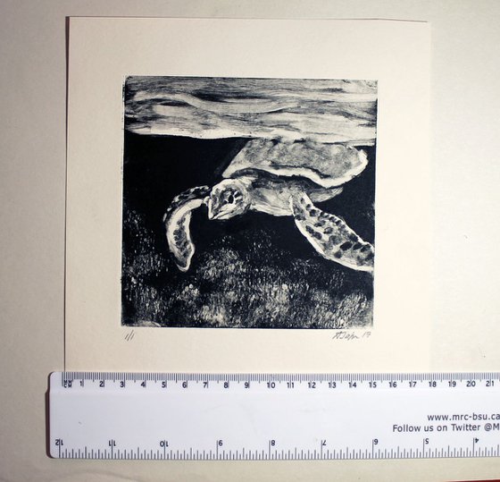 Sea Turtle Monoprint, Monotype Print