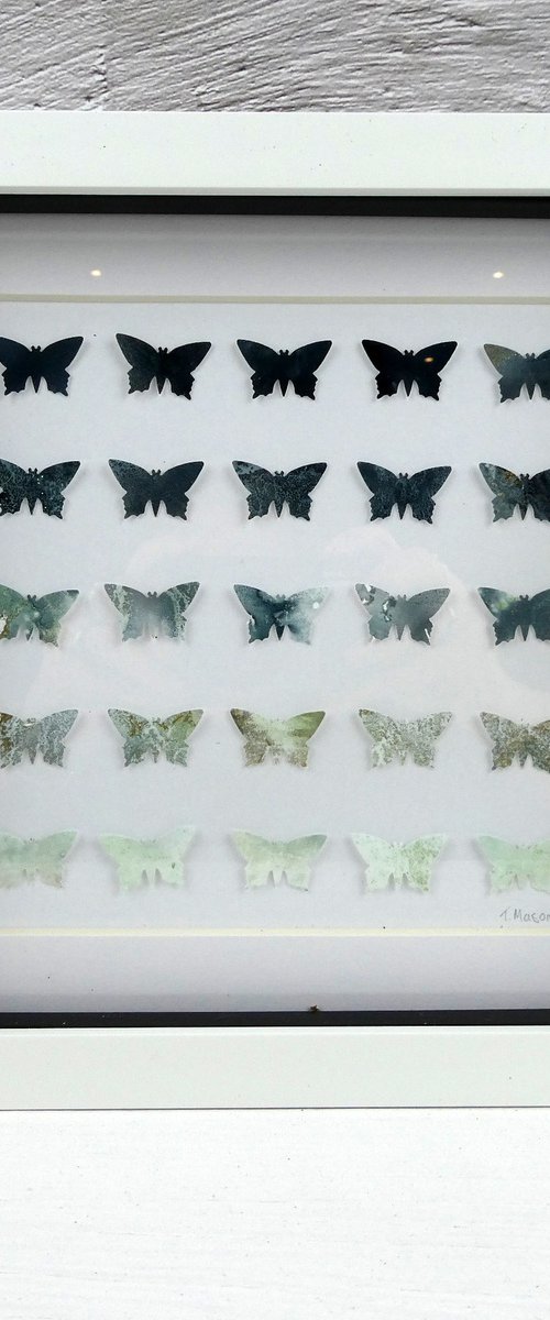 25 Grey butterflies by Tracey Mason