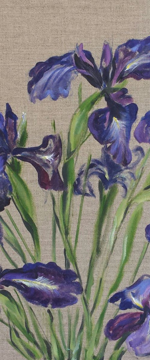 Irises by Margo de Jong