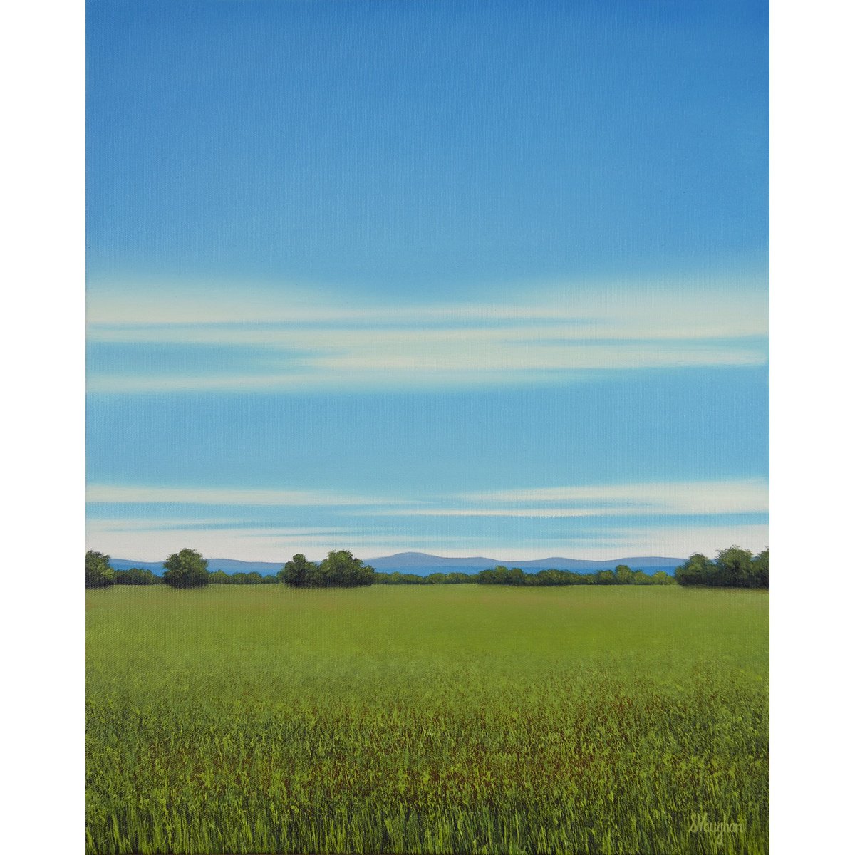 Impressionistic Landscape Oil Painting By Suzanne Vaughan, 16 X 20", Lush Grass - Blue Sky Landscape, Original Artwork