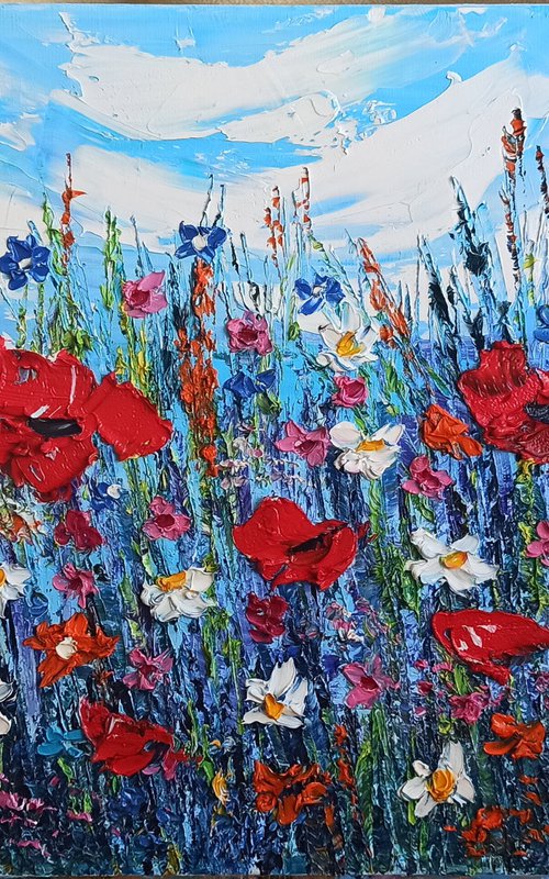 Poppies at the meadow by Oksana Fedorova