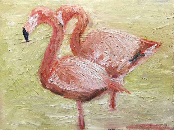 Flamingo