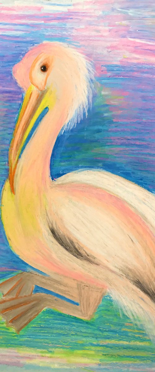 Pelican by Anastasia Terskih