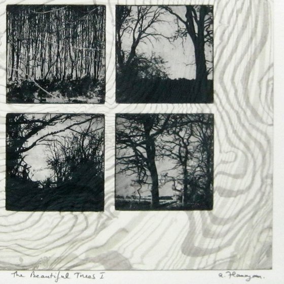 The Beautiful Trees No.1