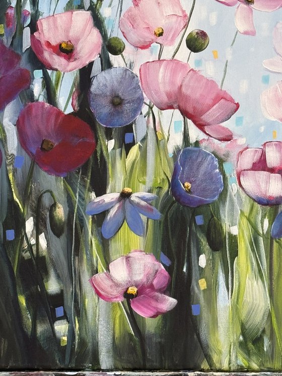 Poppies Land 5