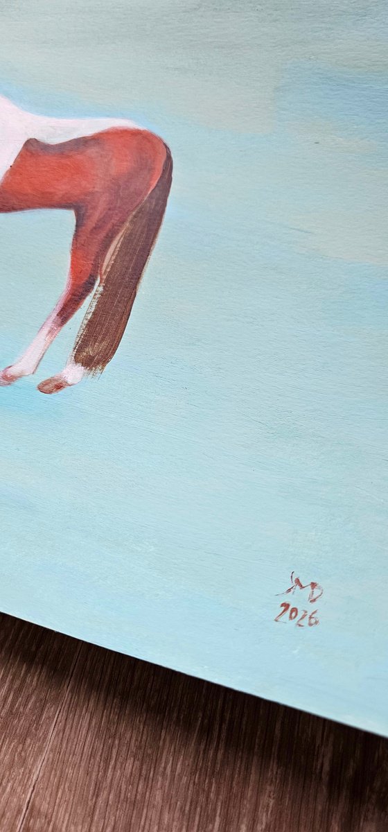 Pinto skewbald horse on blue