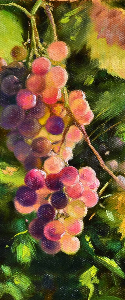 Bunch of grapes by Ruslan Kiprych