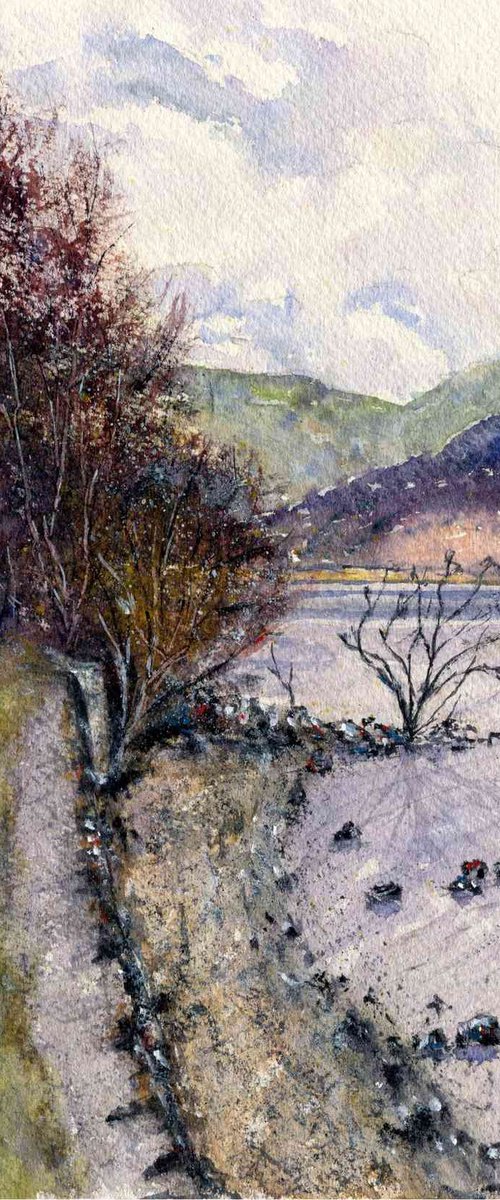 On The Shore Of Lake Windermere by Neil Wrynne