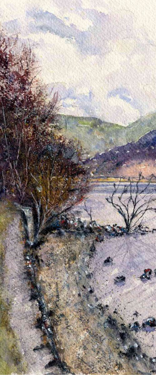 On The Shore Lake Windermere by Neil Wrynne