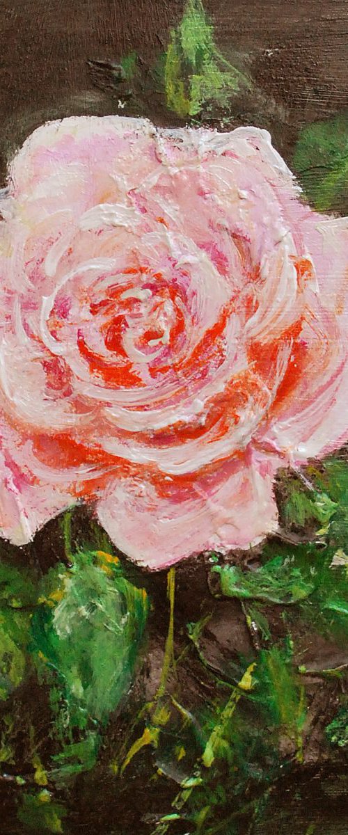 Rose by Vishalandra Dakur