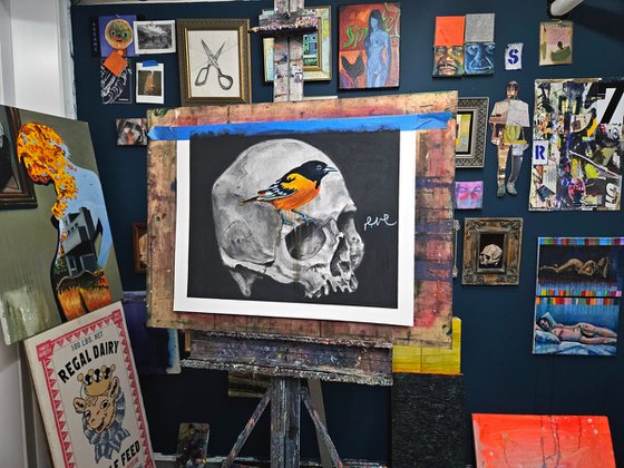 Second Skull First Lady