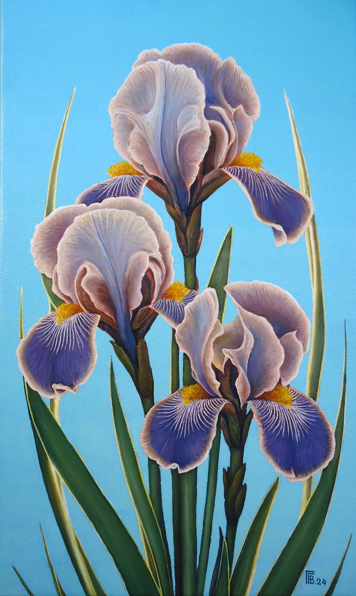 Photorealistic Botanical Oil Painting By Grigor Velev, 12 X 20, Iris Grace, Original Artwork