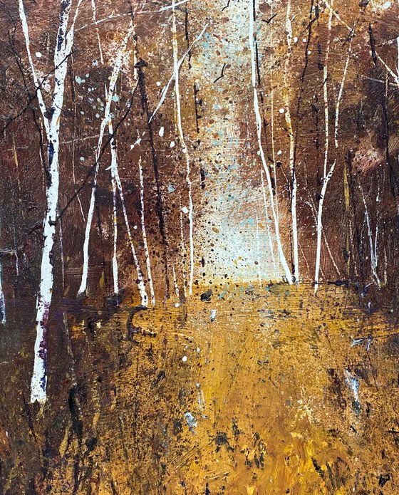 Seasons - Mellow Autumn Silver Birches