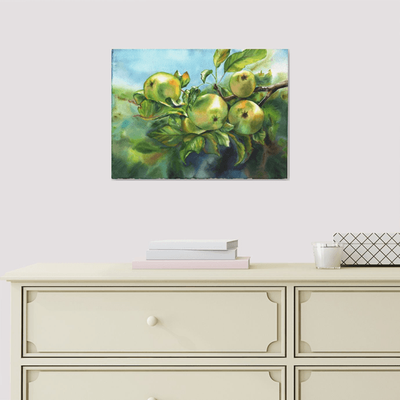 Green apples on the branch
