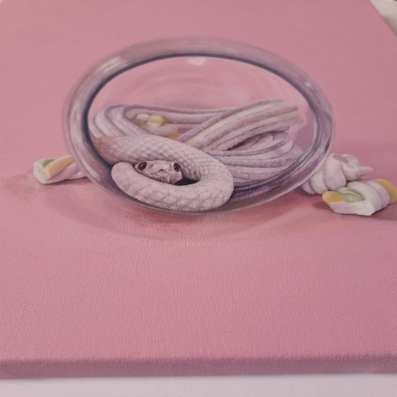 The Tiny Snake and the Candy Jar