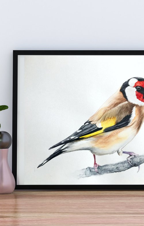 Goldfinch FROM COLLECTION "WATERCOLOR BIRDS" by Kakajan Charyyev