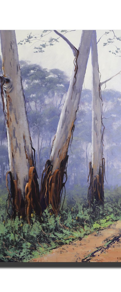 Bush Gum Trees Australia by Graham Gercken