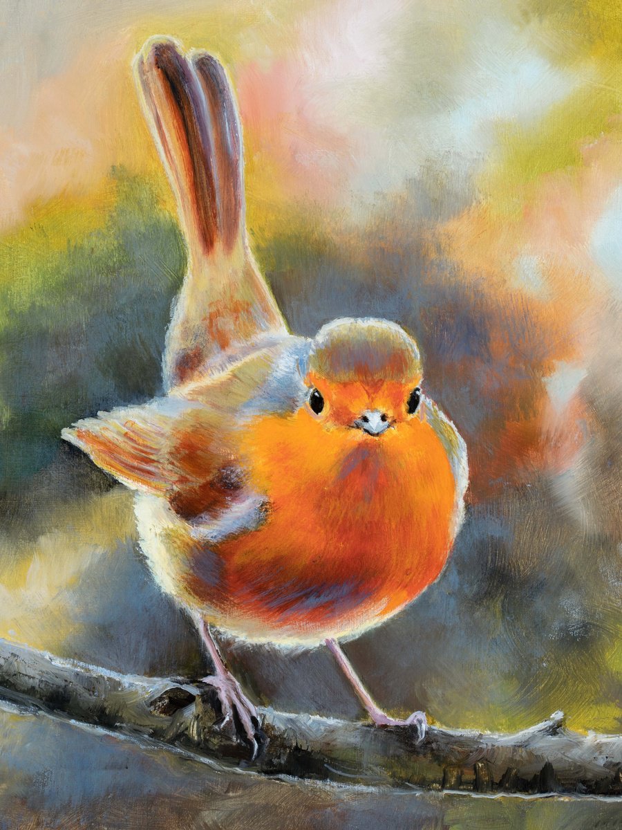 Little robin bird on a branch by Lucia Verdejo