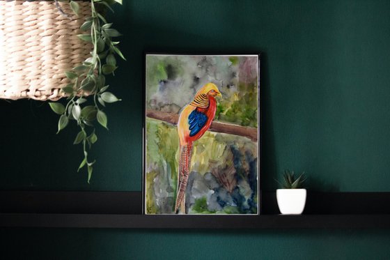 Golden Pheasant Watercolor Painting, Bird Original Artwork, Colorful Wall Art, Slovak Picture, Boho Home Decor