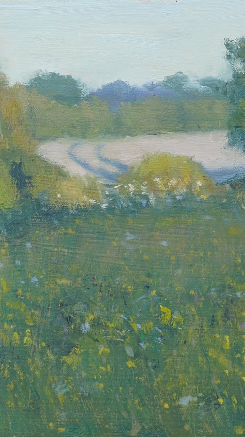 Summer Evening, Cotswolds by Alex James Long