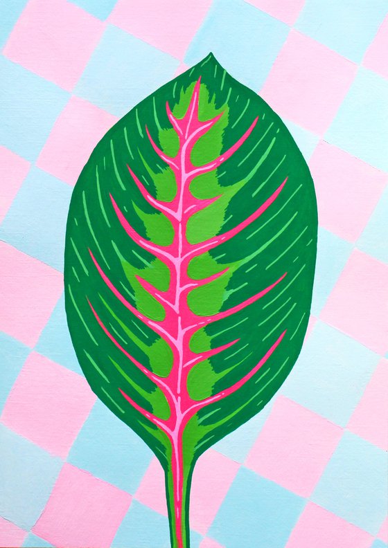 Prayer Plant Maranta Leaf on Unframed A4 Paper