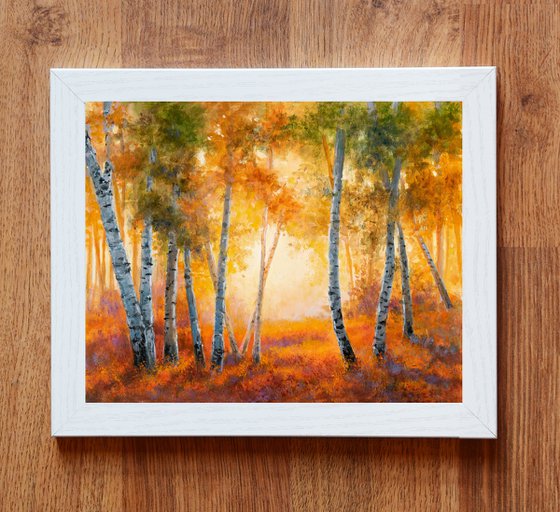 Autumn birch tree forest scene