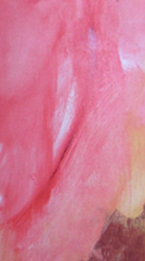Selfportrait as a Rose by Silvia Pao