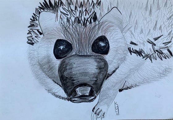 Hedgehog Big Face / Bird Art / Animals & Birds / Animal Portrait / Owl Art / Bird Art / Black and White / Original Artwork / Gifts For Her / Home Decor Wall Art 11.7"x16.5"