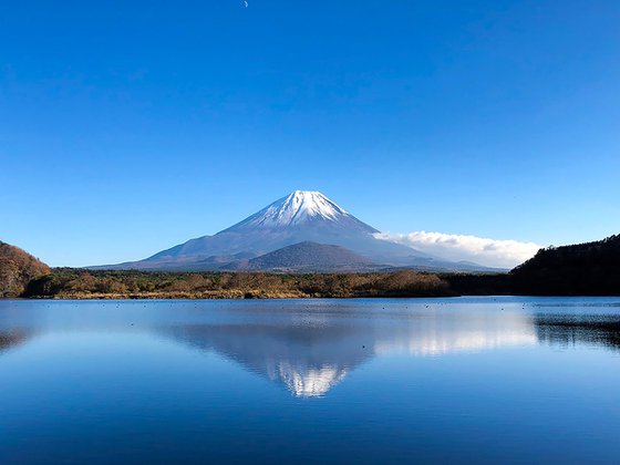 FUJI REFLECT