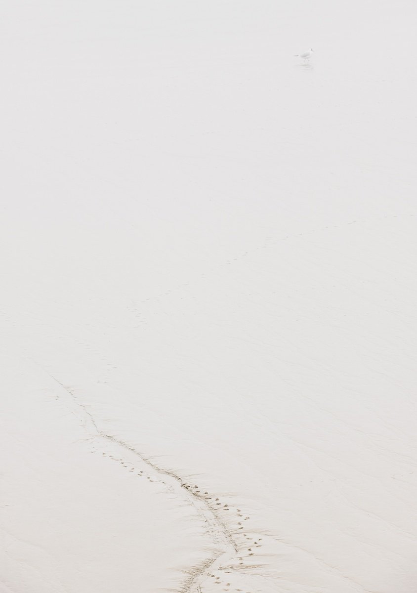 Impressionistic Landscape Photograph By Tom Hanslien, 33 X 47", London Fog Xi, Original Artwork