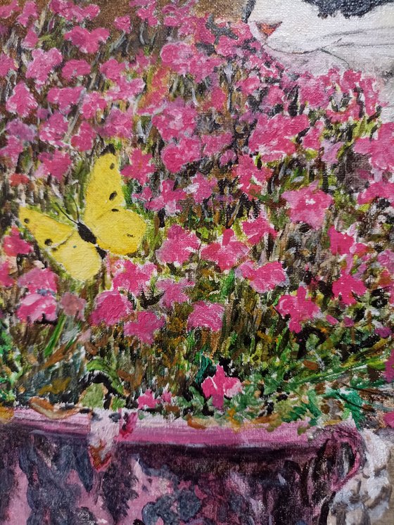 cat, flowers and butterfly