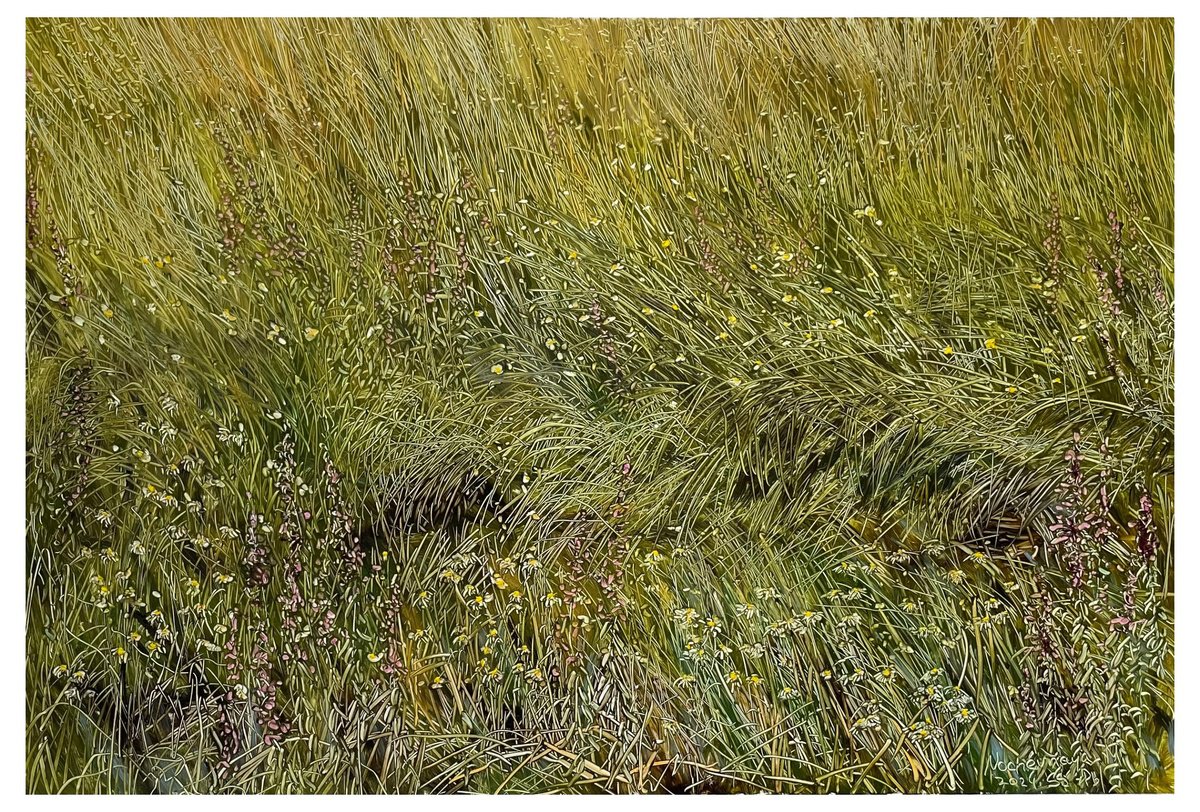 wildflowers and grasses by Maija Nochevnaya