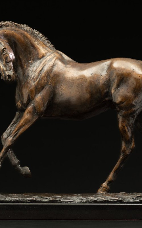 Playing Horse Foundry Bronze by Tanya Russell