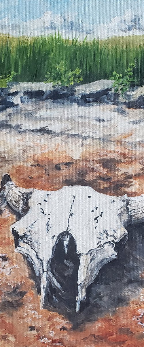 "Washichu" - Landscape - Buffalo - Skull by Katrina Case