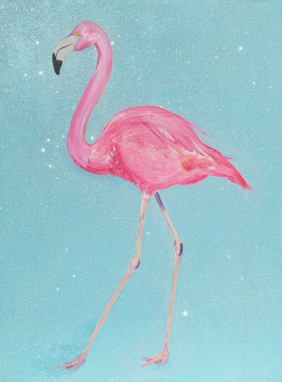 Flamingo, 2019