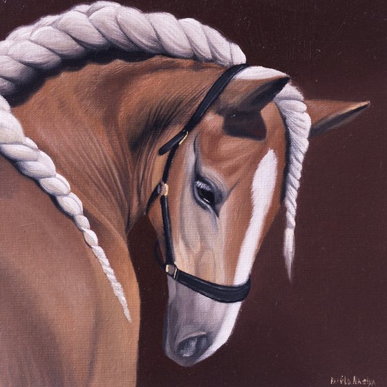 Horse Portrait 68