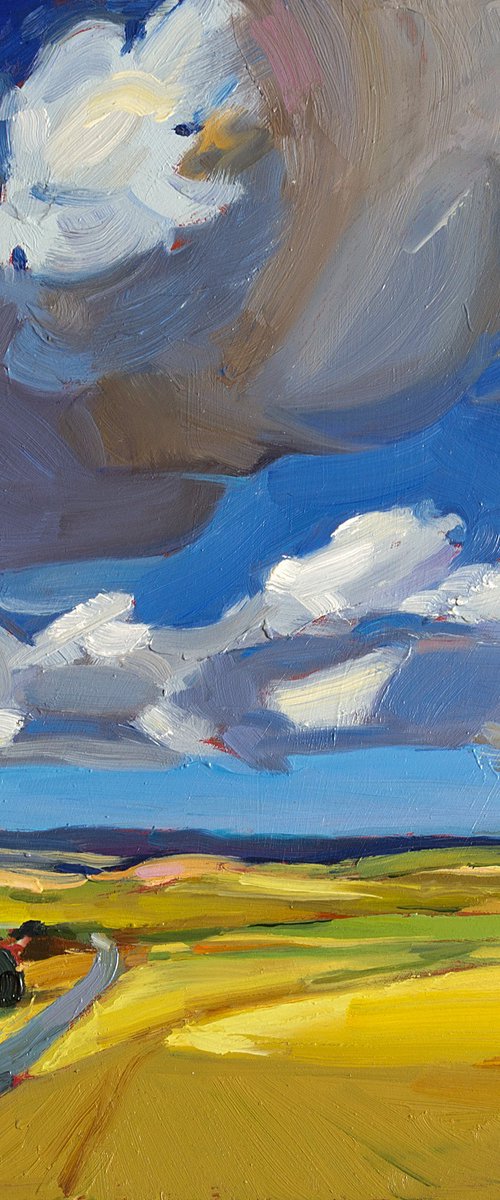 Beneath the Rolling Sky by Daria Zavadenko