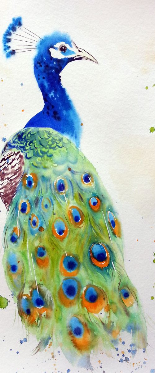 Regal Peacock - peacock painti by Olga Beliaeva Watercolour