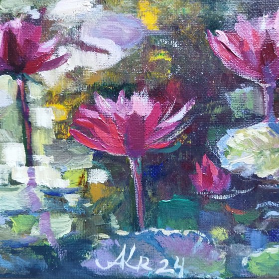 Water Lilies