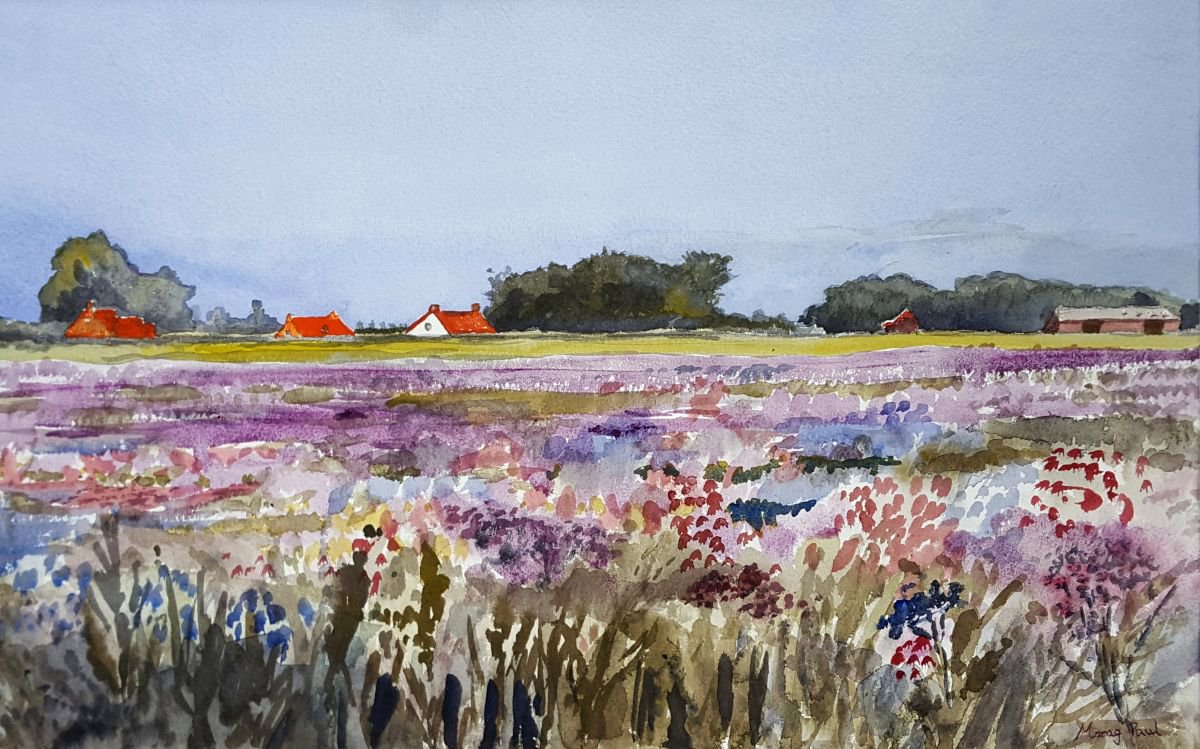 Field of Flowers by Morag Paul