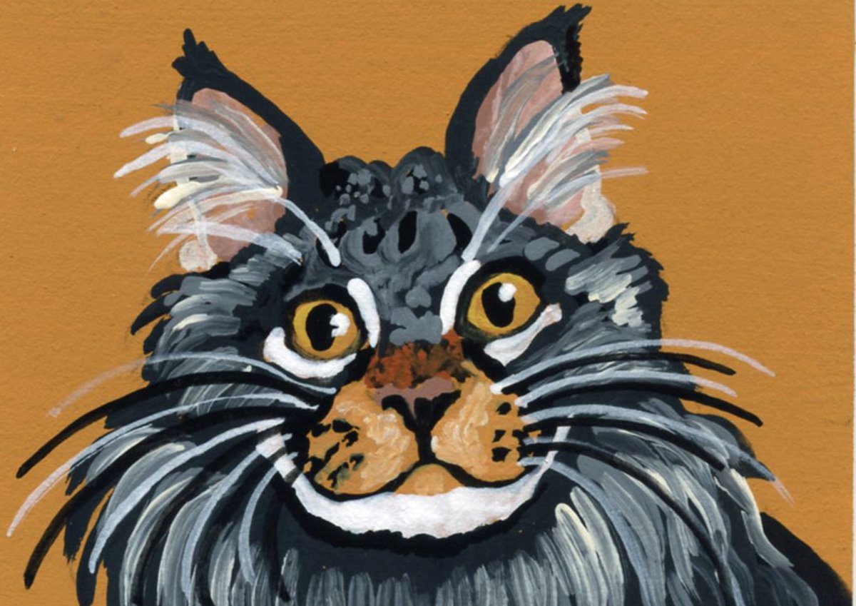 ACEO ATC Original Miniature Painting Tabby Maine Coon Pet Cat Art-Carla Smale by carla smale