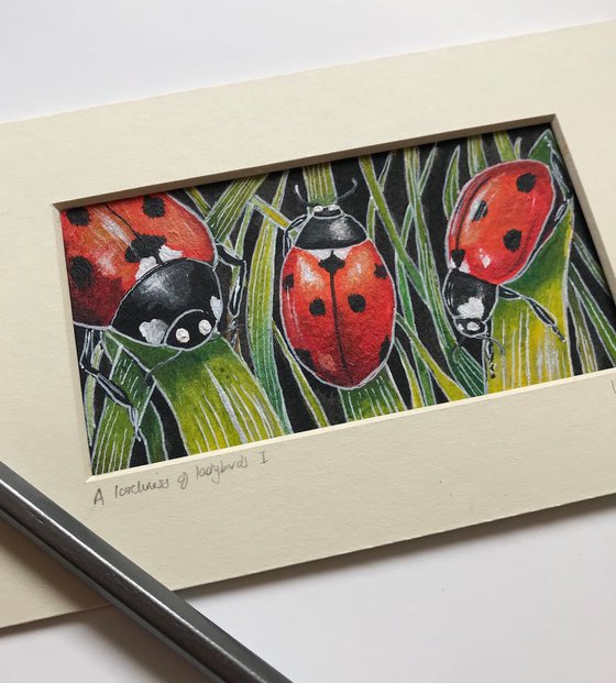 A loveliness of ladybirds 1