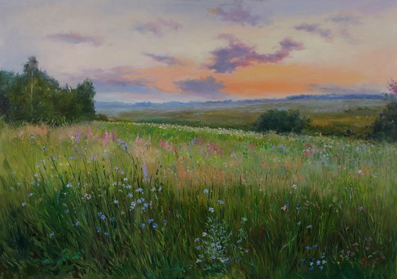 Field of flowers on sunrise