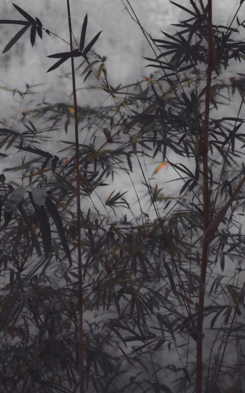 (FRAMED) The power of simplicity II by Viet Ha Tran