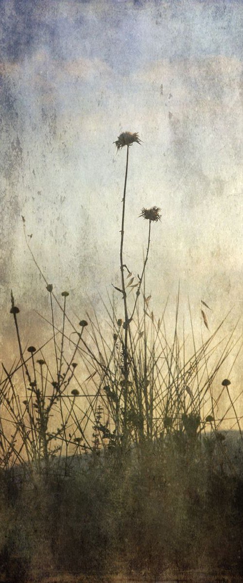 Romantic Nature by Chiara Vignudelli